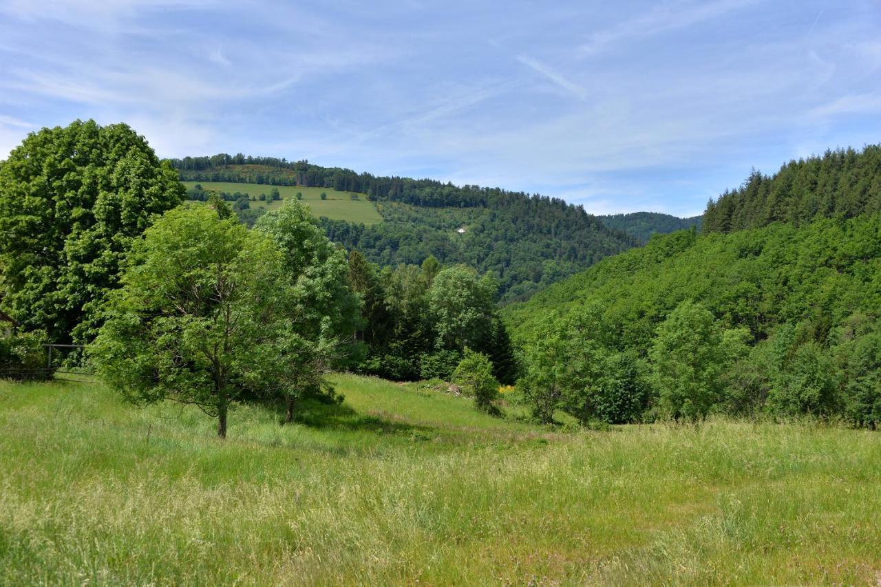 Gite De La Chapelle Des Mineurs Sainte-Marie-aux-Mines Exteriör bild