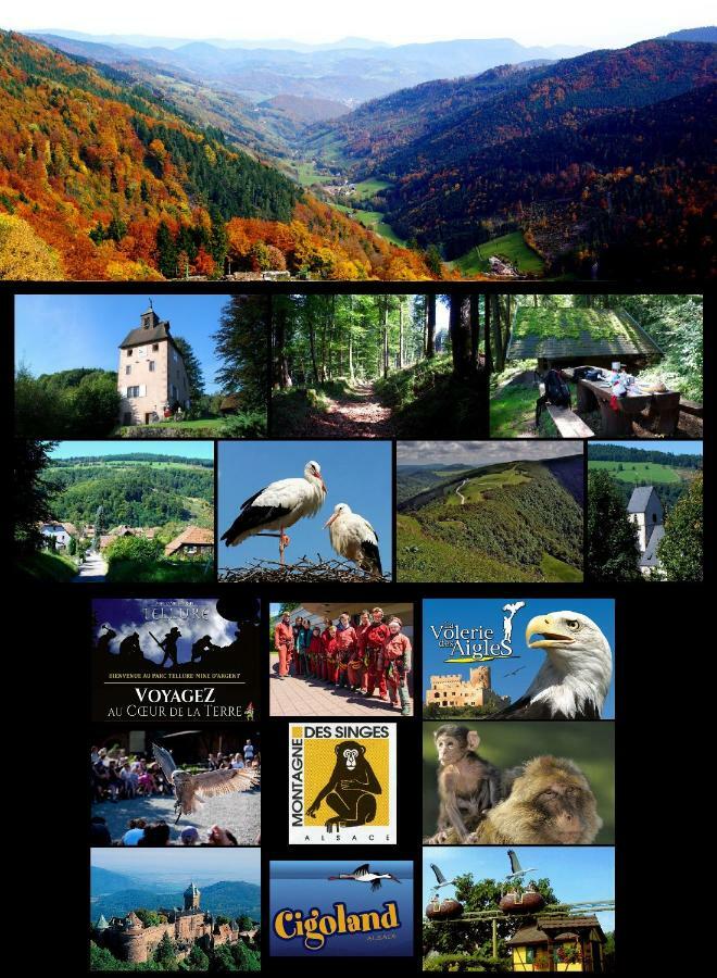 Gite De La Chapelle Des Mineurs Sainte-Marie-aux-Mines Exteriör bild